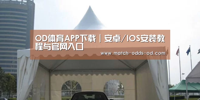案例标题八