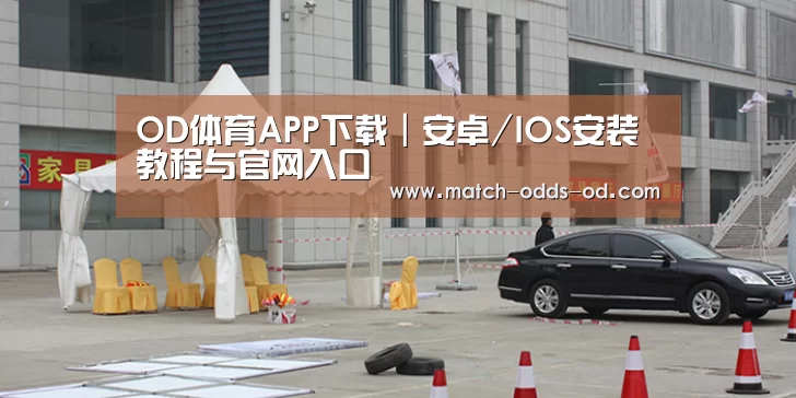 案例标题六